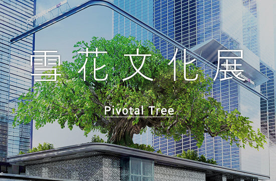 Screen, the overlap of traditions and modern society